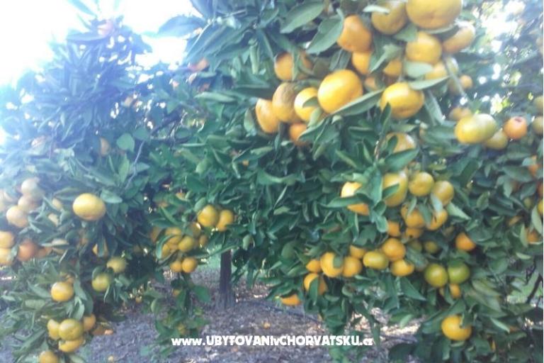 Appartements Alfijo – foto 11