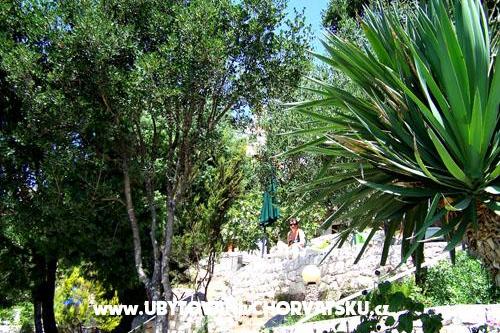 Appartements Mediterraneo – foto 13