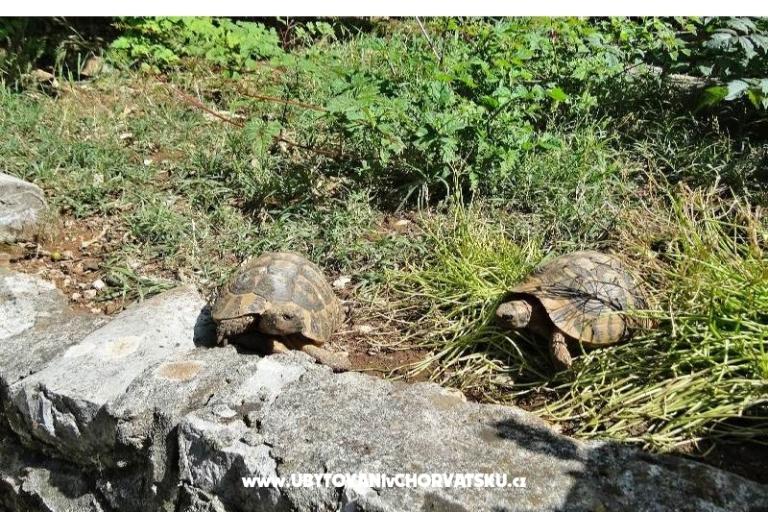 Appartement Tedo – foto 17