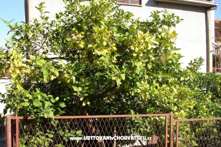 Appartements Ankica – foto 4