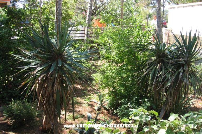 Apartment Borici – foto 17