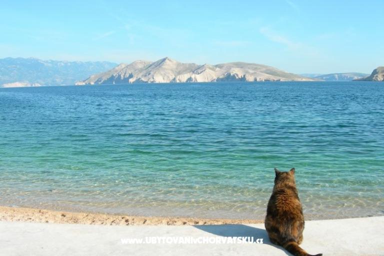 Apartment Linda – foto 18