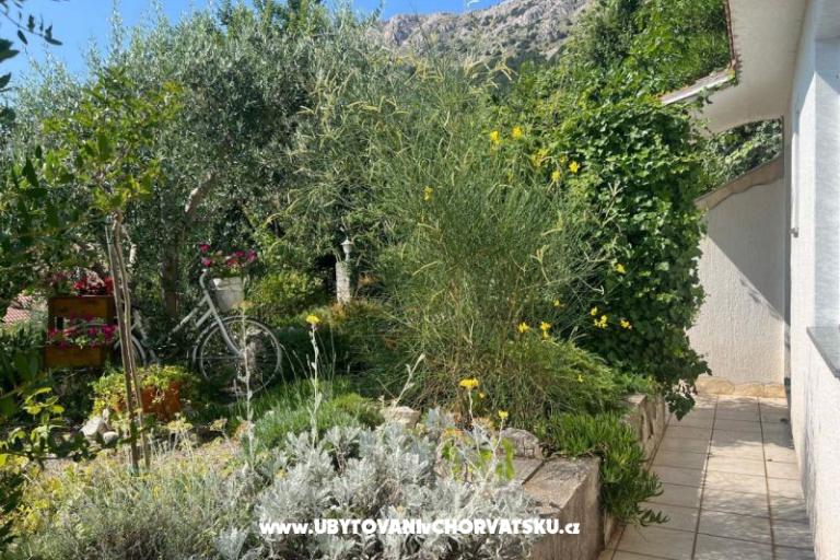 Apartment Roko – foto 15