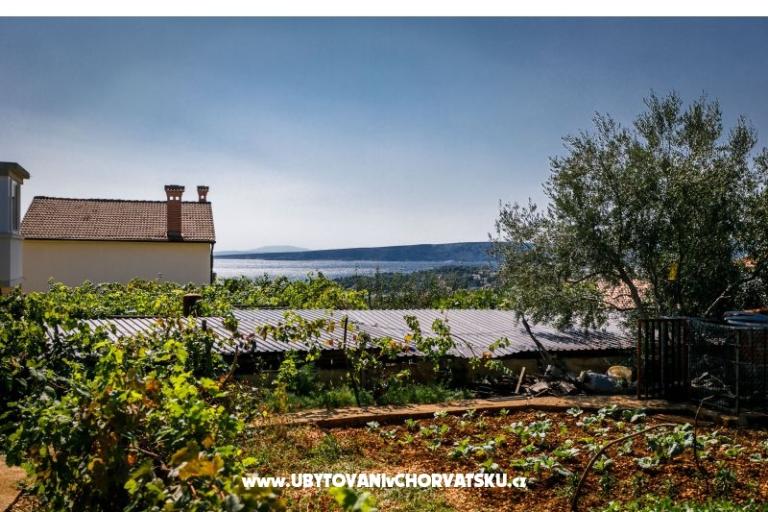 Apartment Dobrijević – foto 16