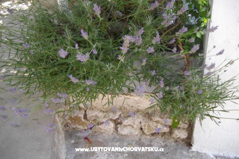 Appartements Kinkela – foto 12