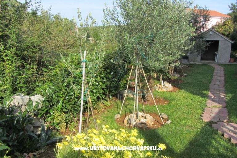 Appartements Perišić – foto 14