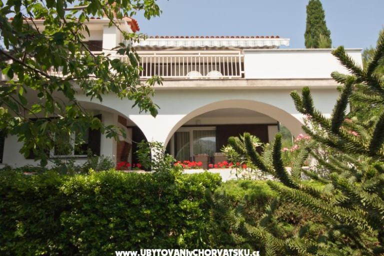 Sea Dream – foto 2