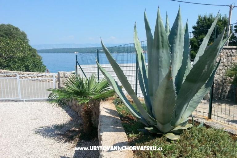 KUĆA ZA ODMOR - LINARDIĆ – foto 4