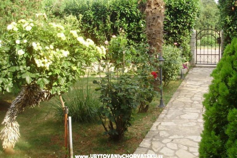 Apartment Mihael + free boat trip – foto 16