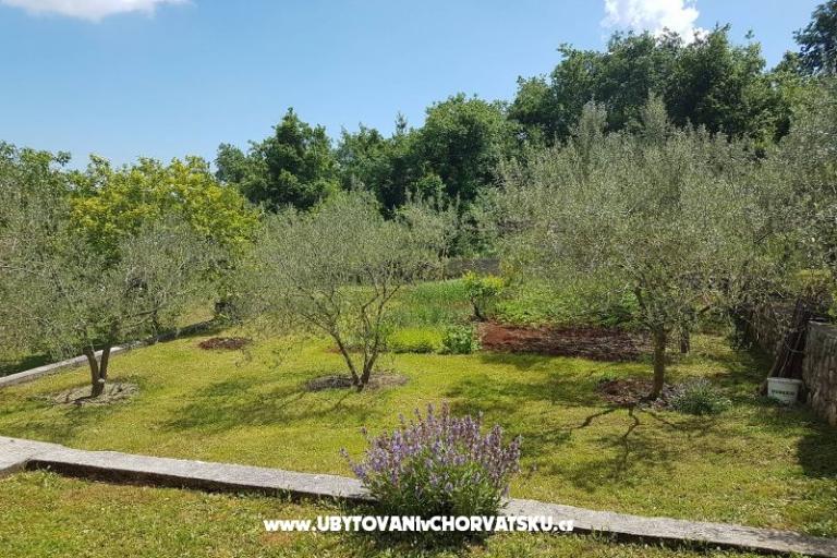 Ferienwohnungen Mariela – foto 4