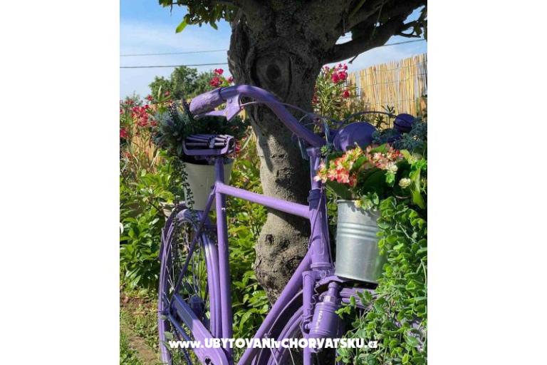 Ferienhaus Bepina – foto 20