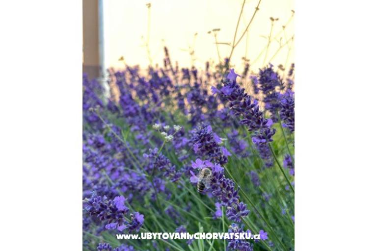 Ferienhaus Bepina – foto 22