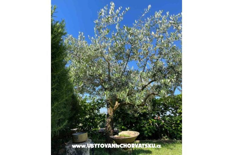 Ferienhaus Bepina – foto 23