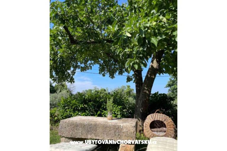 Ferienhaus Bepina – foto 24