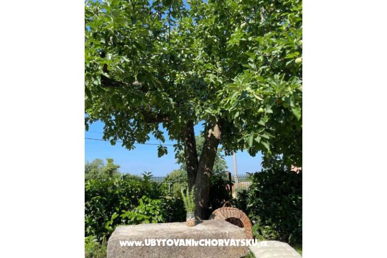 Ferienhaus Bepina – foto 27