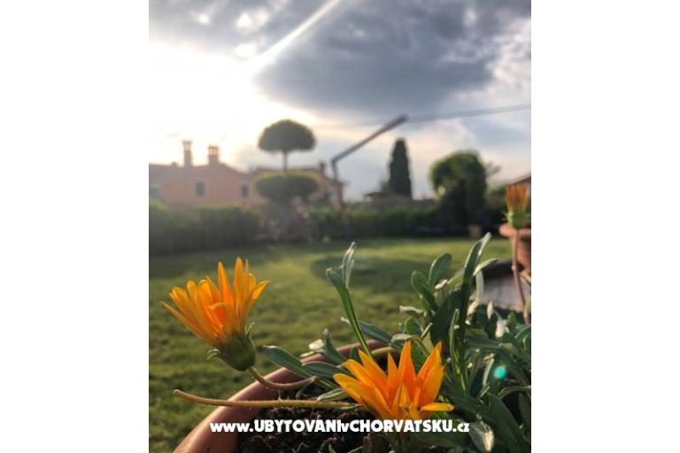 Ferienhaus Bepina – foto 29