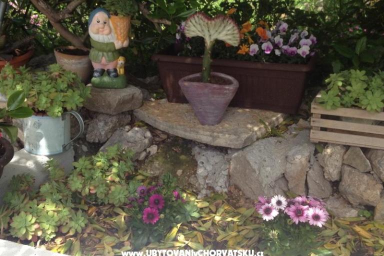 Apartment Lilly – foto 12
