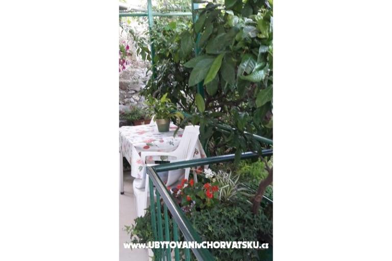 Apartment Olga – foto 11