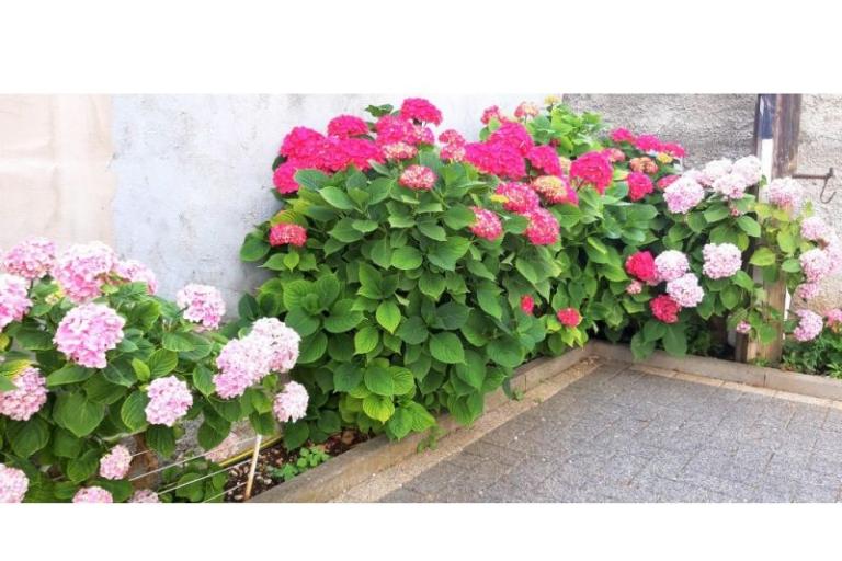 Appartements Antunović – foto 8