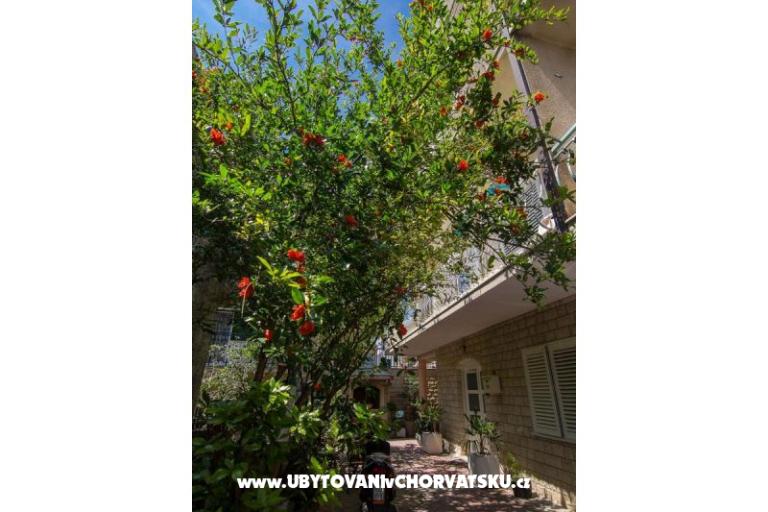 Ferienwohnungen A&amp;B – foto 16