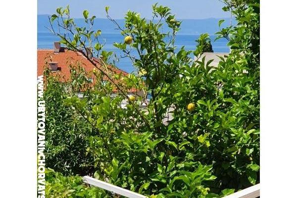 Ferienwohnungen Sani – foto 18