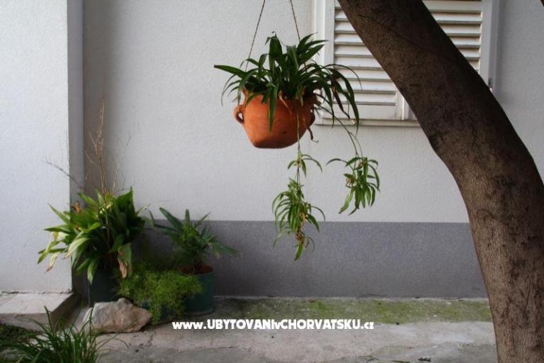Casa Galleria Rica – foto 4