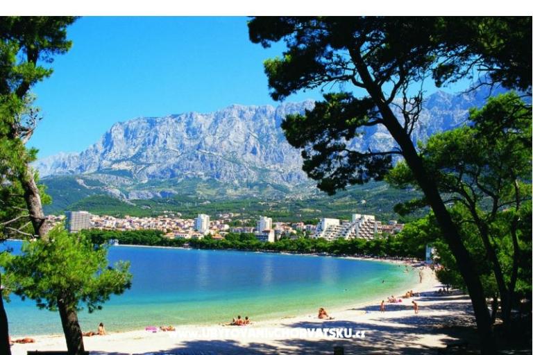 Haus Erceg – foto 14