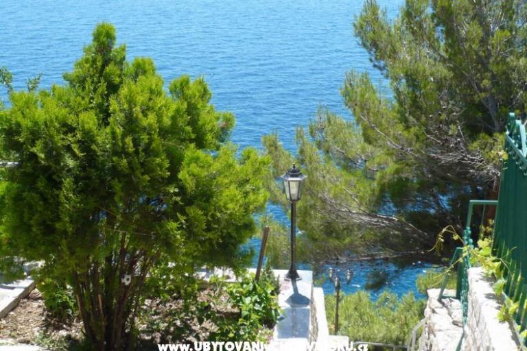 Appartements Sliskovic, 1. line to sea – foto 8