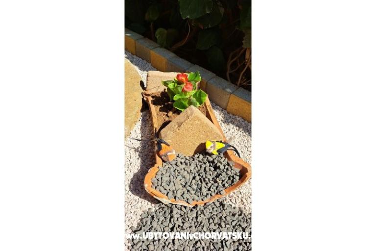 Ferienwohnungen Avvi – foto 23