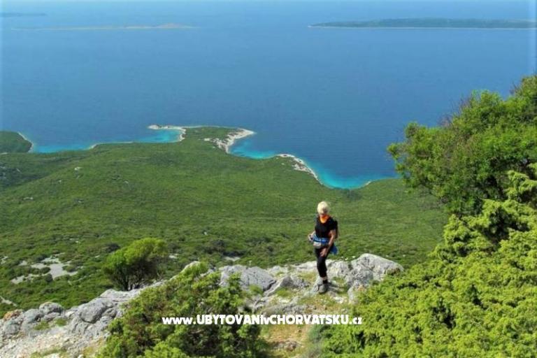 Casa di Castello – foto 8