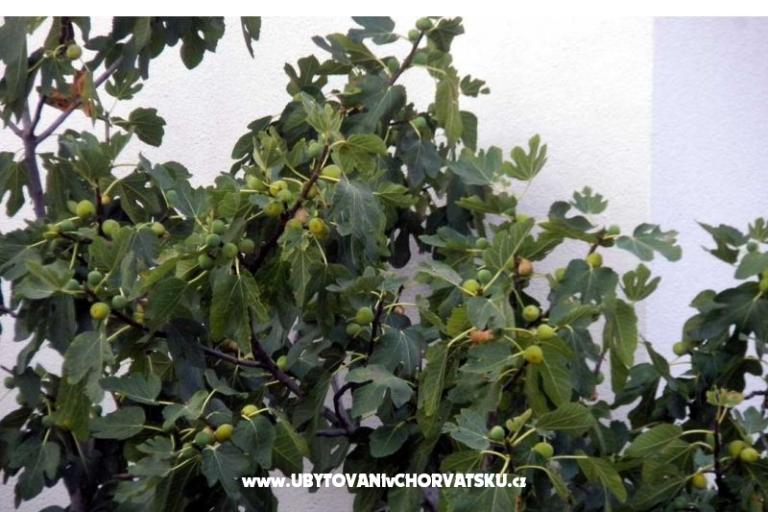 Appartements Marasović – foto 6