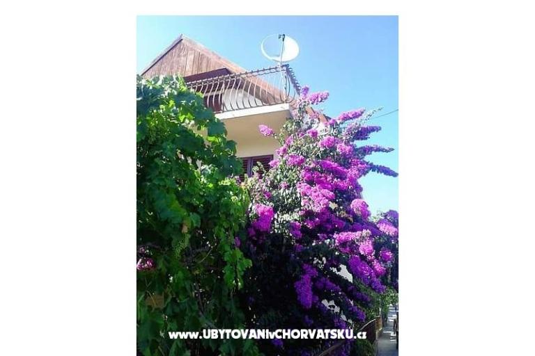 Haus Marino – foto 17