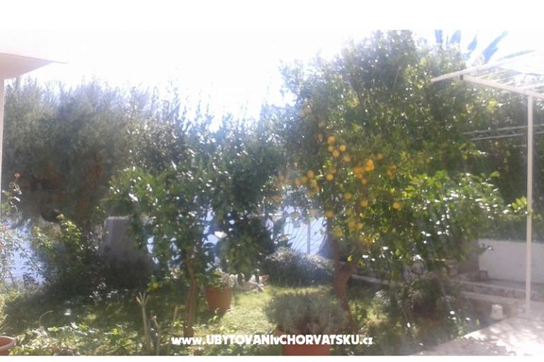 Appartements Neves – foto 13