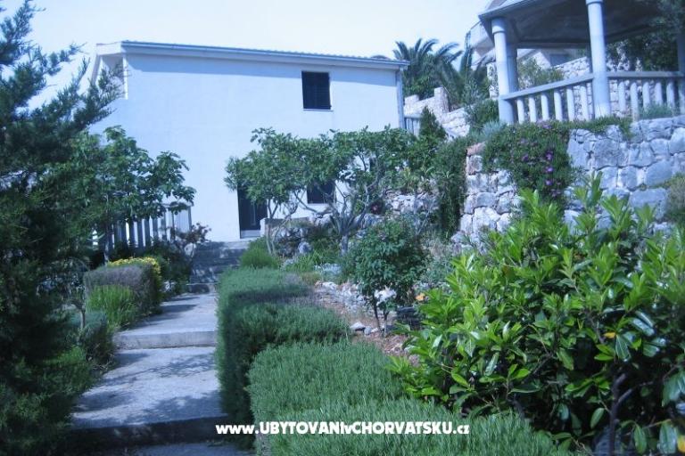 Appartements Punta  – foto 2