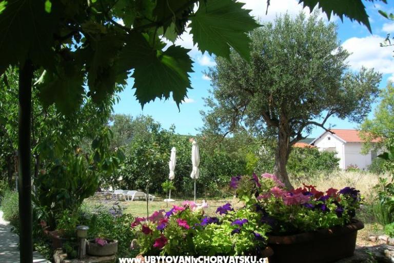 Ferienwohnungen Mira &amp; Vinko – foto 8