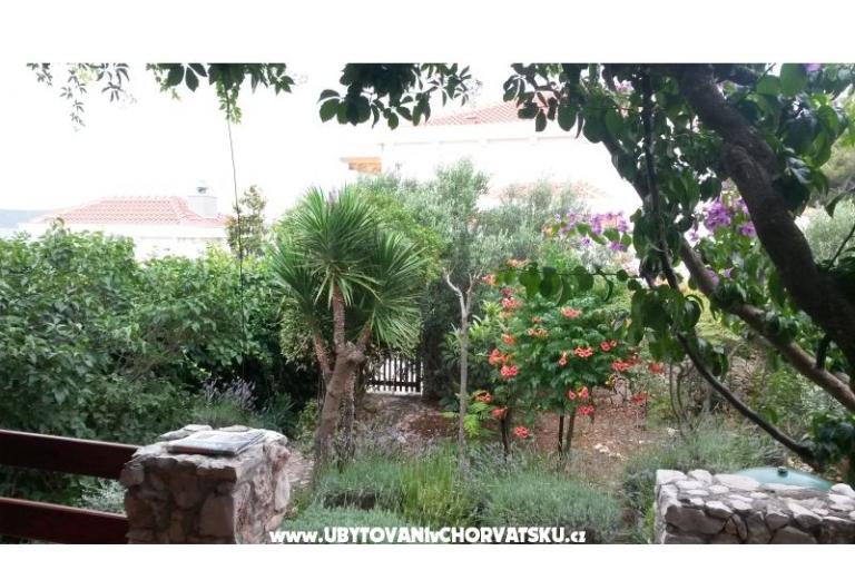 Haus Jukic – foto 10