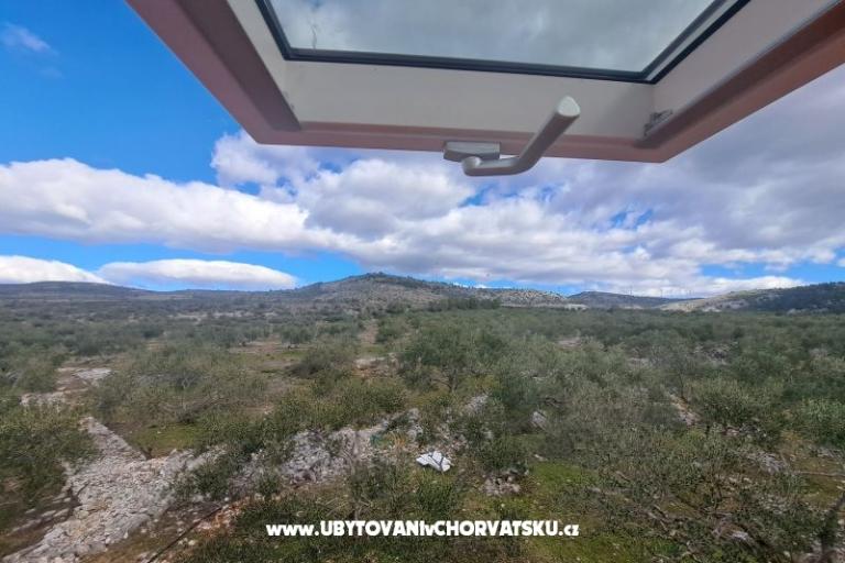 Green Haus (Dogs are welcome) – foto 7