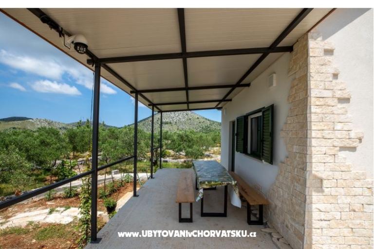 Green Haus (Dogs are welcome) – foto 8