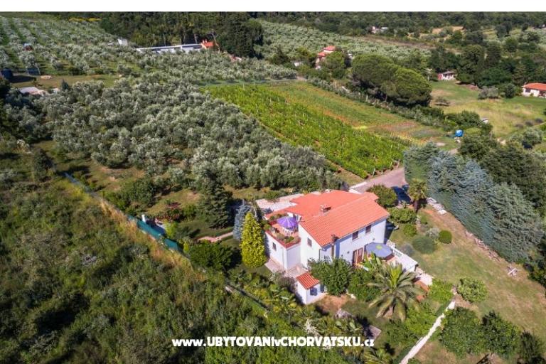 Haus Vencel – foto 15