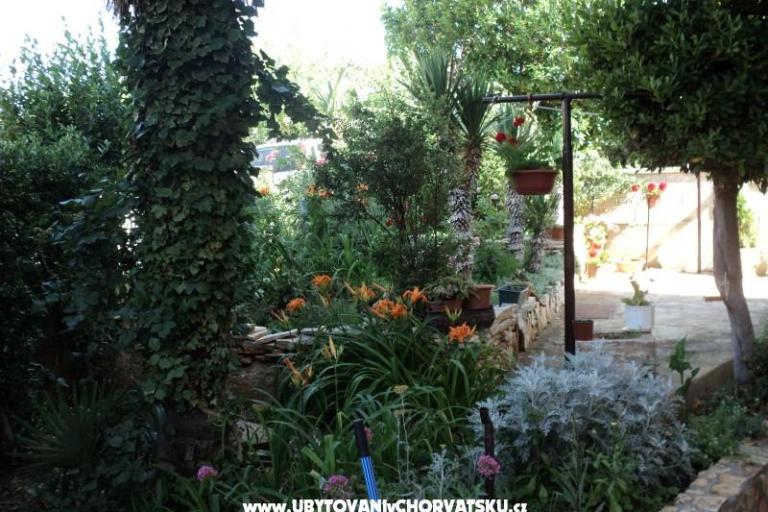 Haus Pacic – foto 14