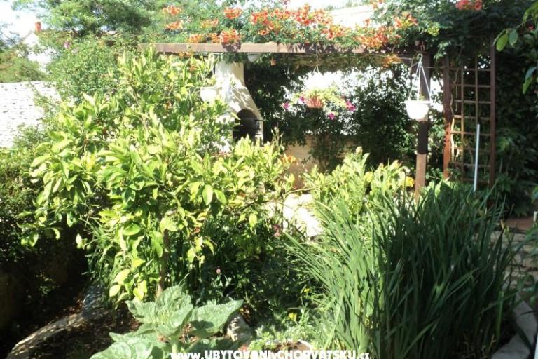 Haus Pacic – foto 15