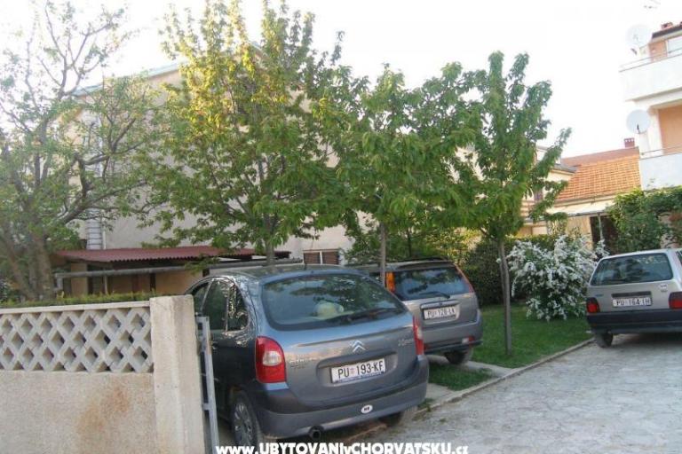 Zimmers Marta – foto 12