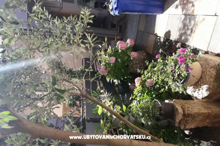 Ferienwohnungen SUNI – foto 6