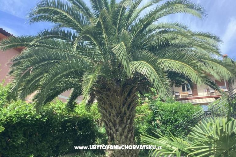 Appartements Rubinić  – foto 19