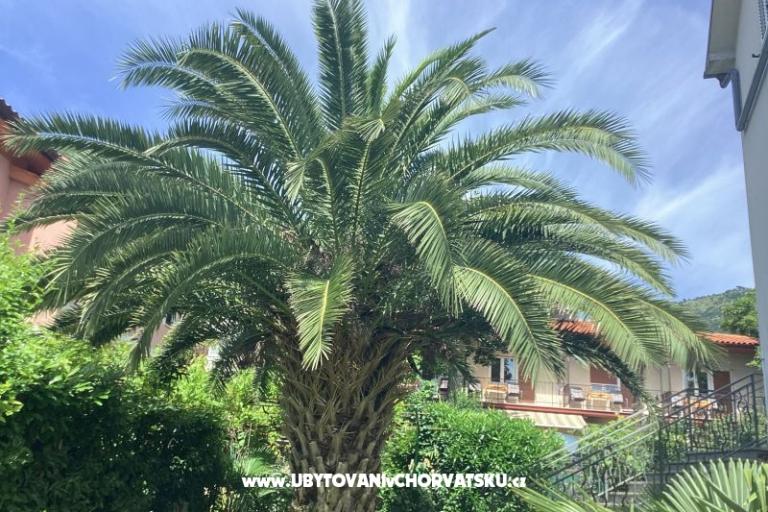 Appartements Rubinić  – foto 26