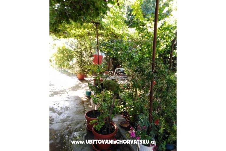 Apartment Fifi – foto 16