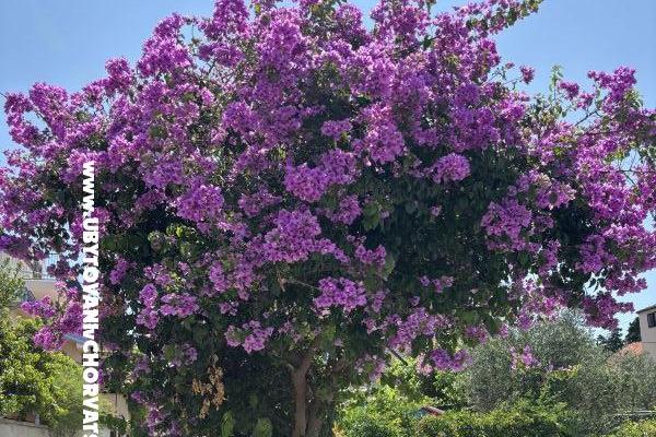 Appartements Kovačić – foto 15