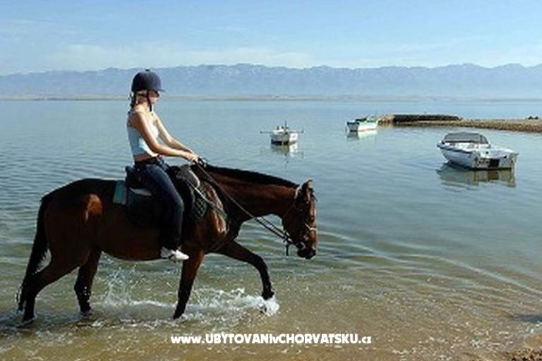 Appartements Casa Tea  – foto 9