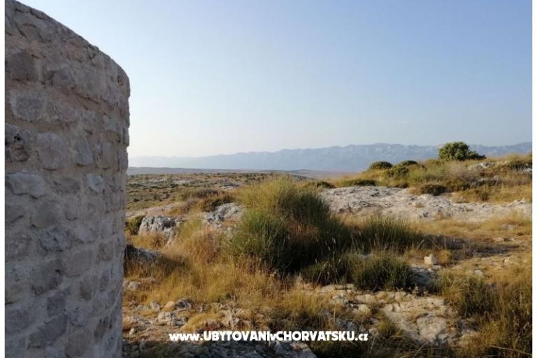 Ferienwohnungen Seaside – foto 16