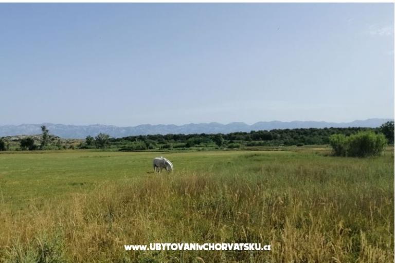 Ferienwohnungen Seaside – foto 17